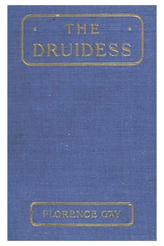 The Druidess: A Story for Boys and Others