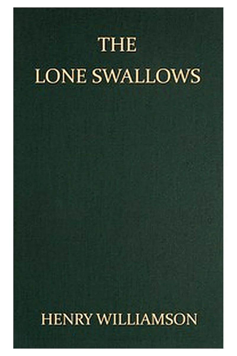 The Lone Swallows