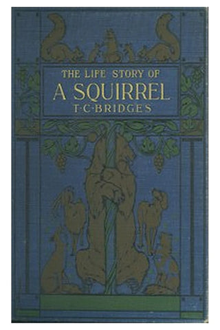 The life story of a squirrel