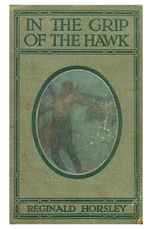 In the grip of the Hawk: A story of the Maori wars