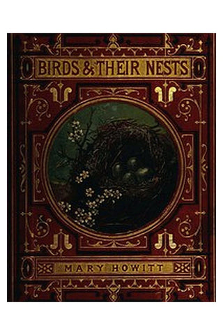 Birds & their nests