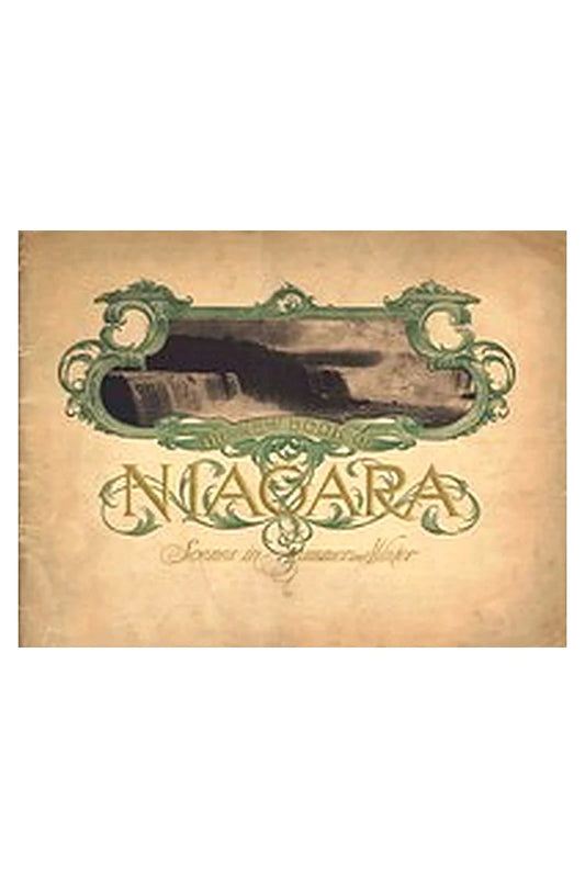 The new book of Niagara: Scenes in summer and winter