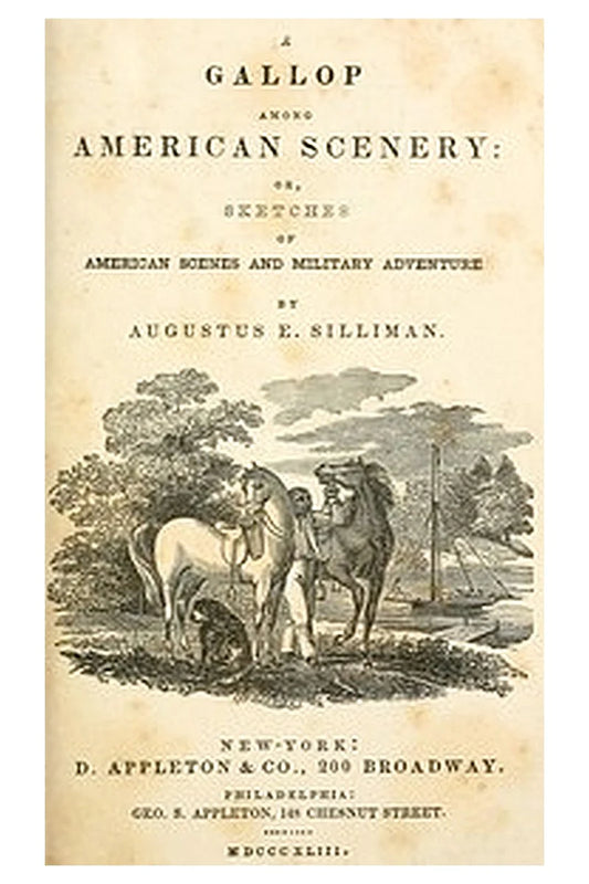A gallop among American scenery
