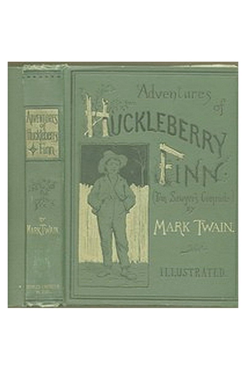 Adventures of Huckleberry Finn, Chapters 16 to 20