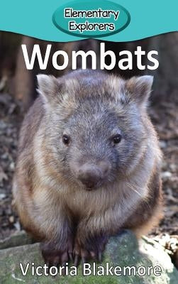 Wombats by Blakemore, Victoria