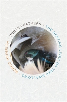 White Feathers: The Nesting Lives of Tree Swallows by Heinrich, Bernd