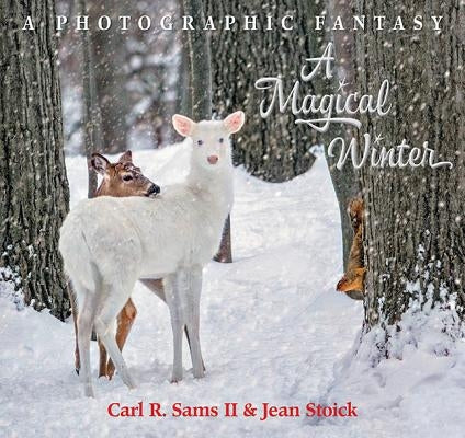 A Magical Winter by Sams, Carl R.