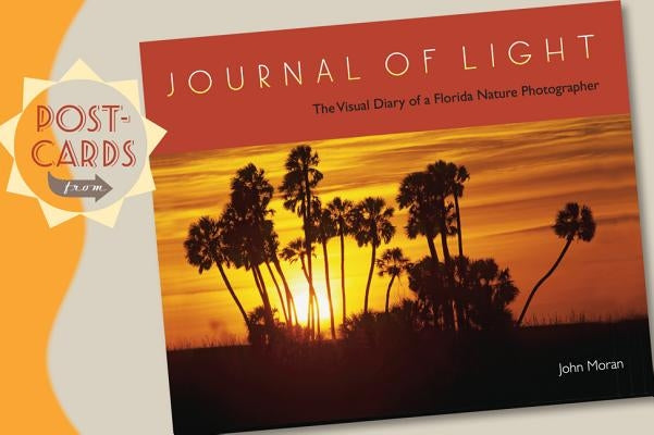Postcards from Journal of Light by Moran, John