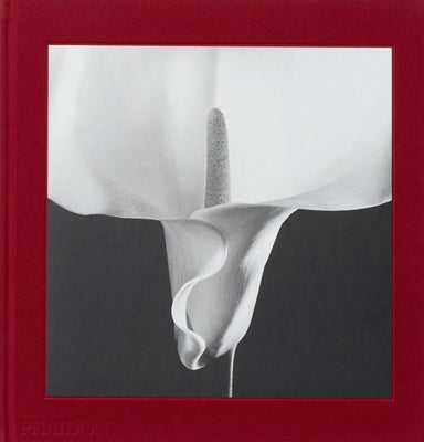 Mapplethorpe Flora: The Complete Flowers by Holborn, Mark