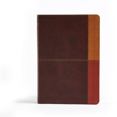 NIV Rainbow Study Bible, Cocoa/Terra Cotta/Ochre Leathertouch by Holman Bible Staff