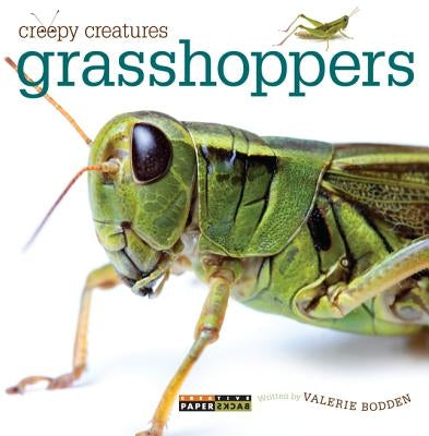 Grasshoppers by Bodden, Valerie