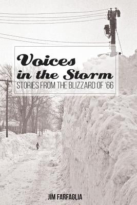 Voices in the Storm: Stories From The Blizzard of '66 by Farfaglia, Jim