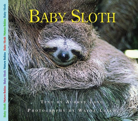 Baby Sloth by Lang, Aubrey