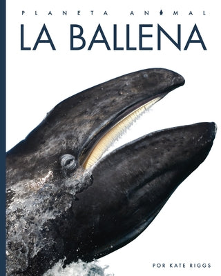 La Ballena by Riggs, Kate