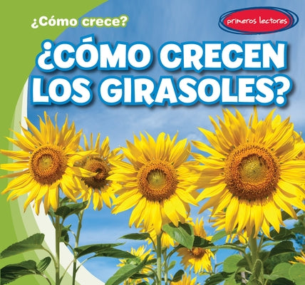 ¿Cómo Crecen Los Girasoles? (How Do Sunflowers Grow?) by Connors, Kathleen