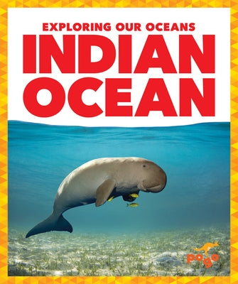 Indian Ocean by Toolen, Avery