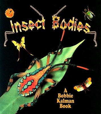Insect Bodies by Aloian, Molly