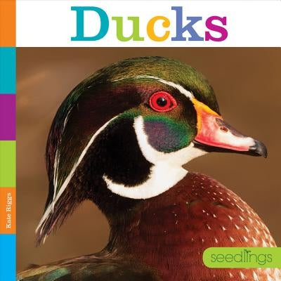 Ducks by Riggs, Kate