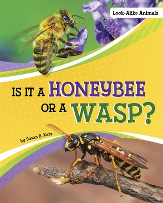 Is It a Honeybee or a Wasp? by Katz, Susan B.
