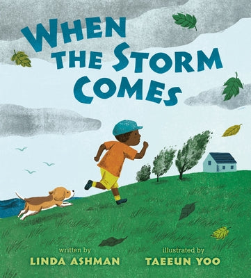 When the Storm Comes by Ashman, Linda