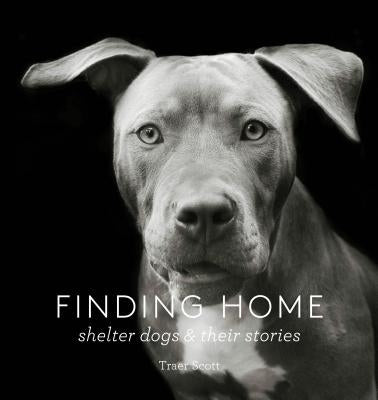 Finding Home: Shelter Dogs and Their Stories by Scott, Traer