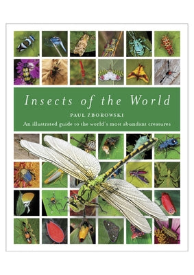 Insects of the World: An Illustrated Guide to the World's Most Abundant Creatures by Zborowski, Paul