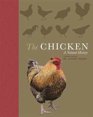 The Chicken: A Natural History by Barber, Joseph