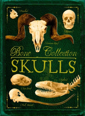 Bone Collection: Skulls by de la B&#233;doy&#232;re, Camilla