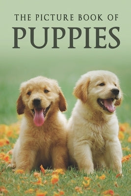 The Picture Book of Puppies: A Gift Book for Alzheimer's Patients and Seniors with Dementia by Books, Sunny Street