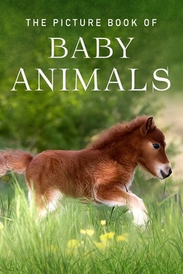 The Picture Book of Baby Animals: A Gift Book for Alzheimer's Patients and Seniors with Dementia by Books, Sunny Street