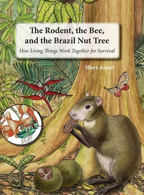 The Rodent, the Bee, and the Brazil Nut Tree: How Living Things Work Together for Survival by Amsel, Sheri