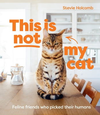 This Is Not My Cat: Feline Friends Who Picked Their Humans by Holcomb, Stevie