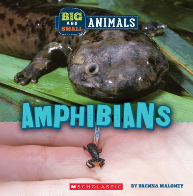 Big and Small: Amphibians (Wild World) by Maloney, Brenna