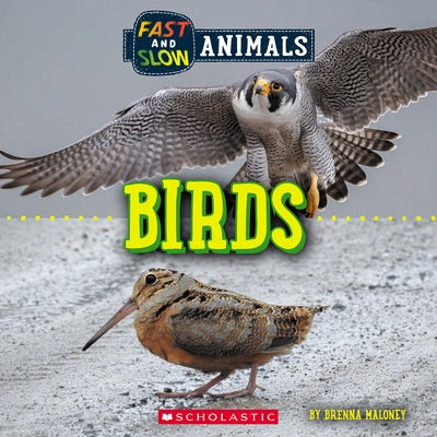 Fast and Slow: Birds (Wild World) by Maloney, Brenna