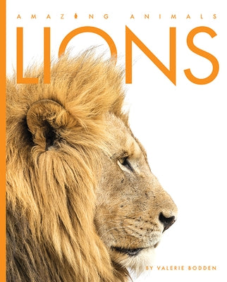 Lions by Bodden, Valerie