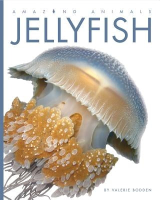 Jellyfish by Bodden, Valerie