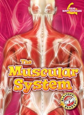The Muscular System by Pettiford, Rebecca
