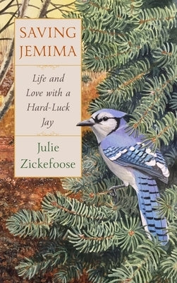 Saving Jemima: Life and Love with a Hard-Luck Jay by Zickefoose, Julie