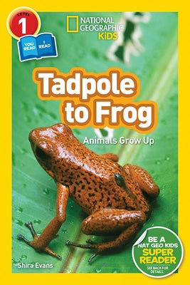 National Geographic Readers: Tadpole to Frog (L1/Co-Reader) by Evans, Shira