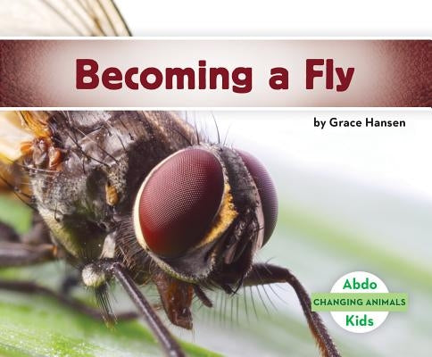 Becoming a Fly by Hansen, Grace