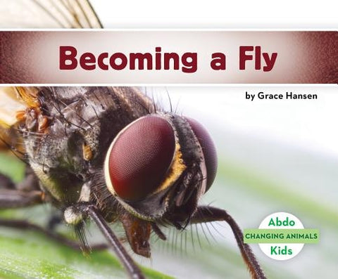 Becoming a Fly by Hansen, Grace