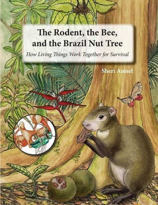 The Rodent, the Bee, and the Brazil Nut Tree: How Living Things Work Together for Survival by Amsel, Sheri