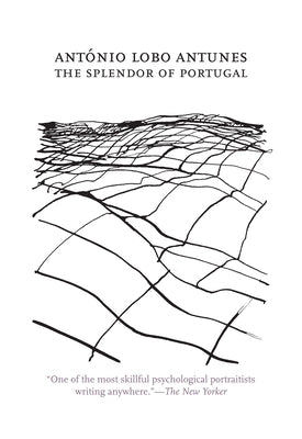 The Splendor of Portugal by Antunes, Antonio Lobo