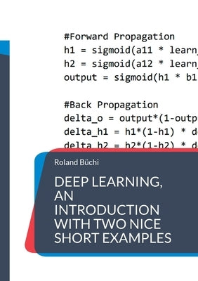 Deep Learning, an introduction with two nice short examples by B&#252;chi, Roland