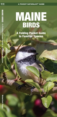 Maine Birds: A Folding Pocket Guide to Familiar Species by Kavanagh, James