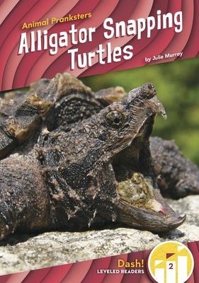 Alligator Snapping Turtles by Murray, Julie
