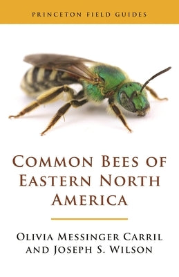 Common Bees of Eastern North America by Carril, Olivia Messinger