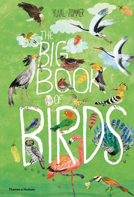 Big Book of Birds by Zommer, Yuval