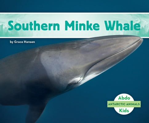Southern Minke Whale by Hansen, Grace
