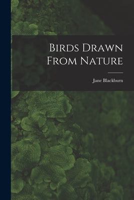 Birds Drawn From Nature by Blackburn, Jane